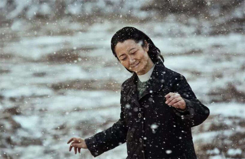 煤矿老板|山河故人为什么是禁片？关于《山河故人》的秘密揭秘