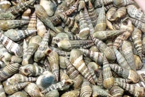 今日|今日开海!这84种海鲜,你都认识吗?你真的会吃海鲜吗?