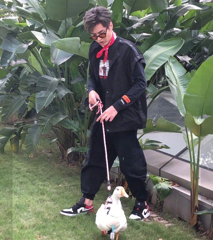  教导|《潮玩人类在哪里》路透，吴亦凡当街遛鹅，还教导鹅不要乱吃草