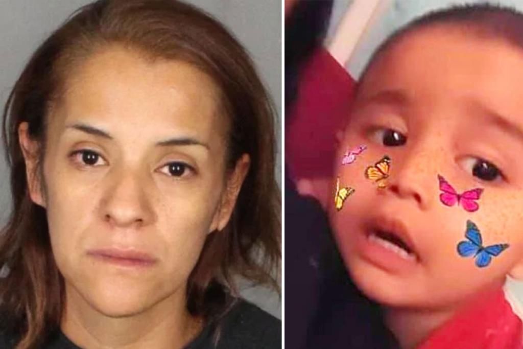  儿子|女子杀害2岁儿子分尸抛弃，几天后哭着报警称“我儿子失踪了”