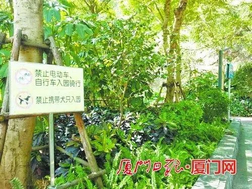市民|事发狐尾山公园！一男一女“禁区”遛狗不听劝还打人！警方已介入调查