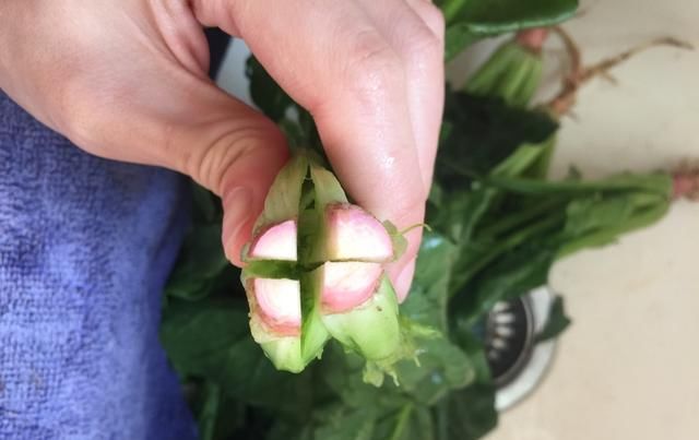  凉拌菜|夏天想要清凉解暑，凉拌菜必不可少！凉拌菠菜，味在嘴里爽到心里