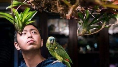  清华美院|鬼眼王昱珩：鼓励女儿不上学，清华毕业不工作，是人人称羡的男神