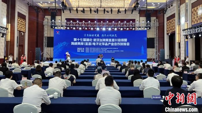 两岸专家企业家湖北宜昌共商电子化学品产业合作