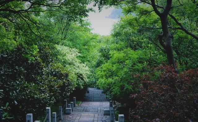 快乐|我在青岛做了这10件小事,找回了久违的快乐