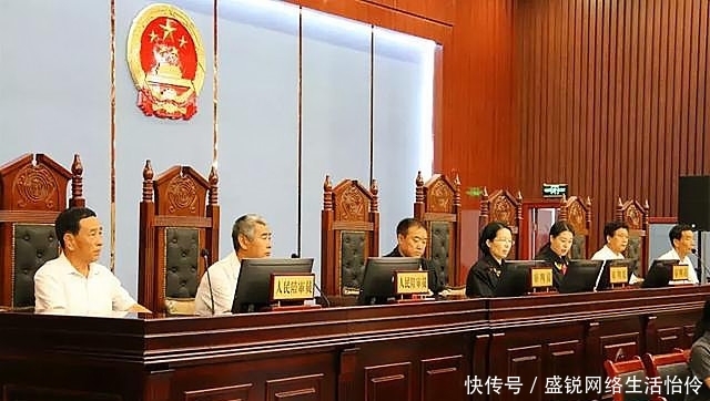  保险公司|朴树被“撞断”树枝，司机要赔13.7万！