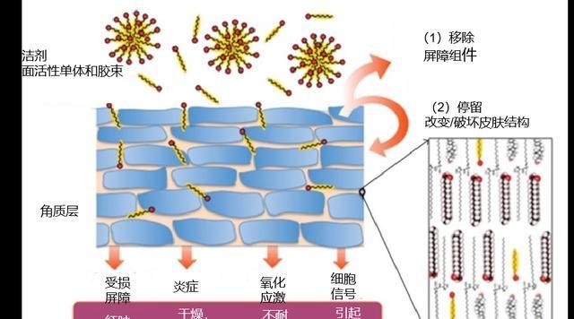 说了算|秘籍|空调房和干皮的兼容度,你说了算