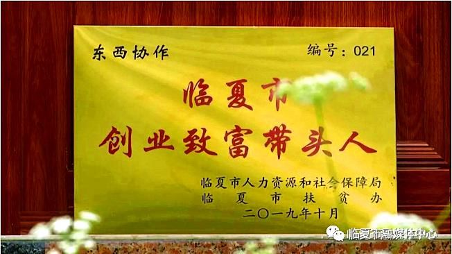  小康生活|【走向我们的小康生活】办起特色农家乐，带领乡亲奔小康