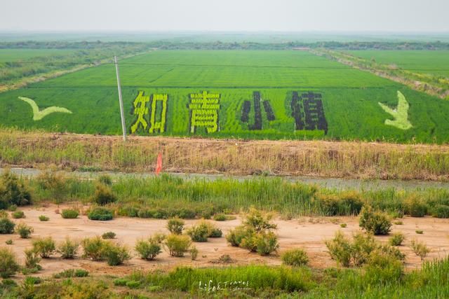  小镇|黄河入海口最后一个小镇，复建的孤岛汽车站，回到曾经的激情岁月