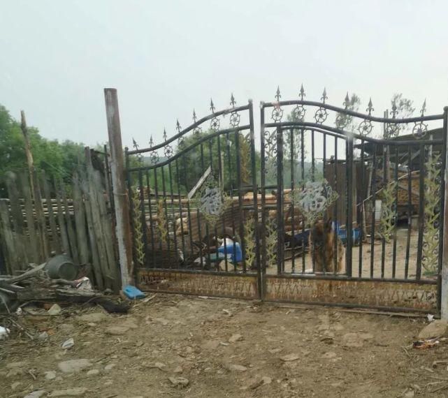 李某|抢劫犯隐姓埋名23年——深居山林终被抓捕归案