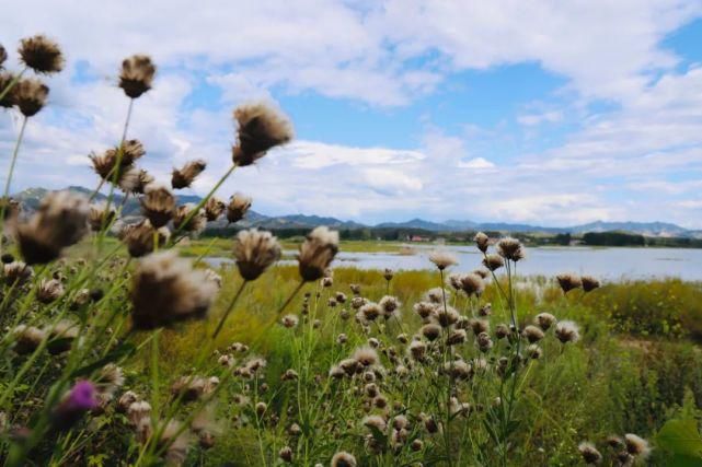 何必|何必远行~这里的湖光山色惹人醉！