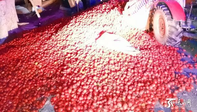  捡回|拖拉机爆胎失控番茄撒落一地，交警村民合力帮捡回