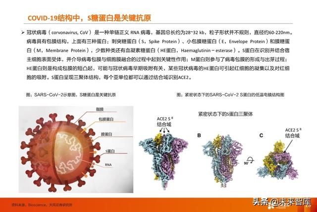 临床试验|疫苗行业深度报告:新冠疫苗谁将拔得头筹