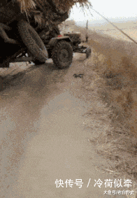  就别|GIF搞笑趣图: 亲爱的那不是爱情, 你就别看了