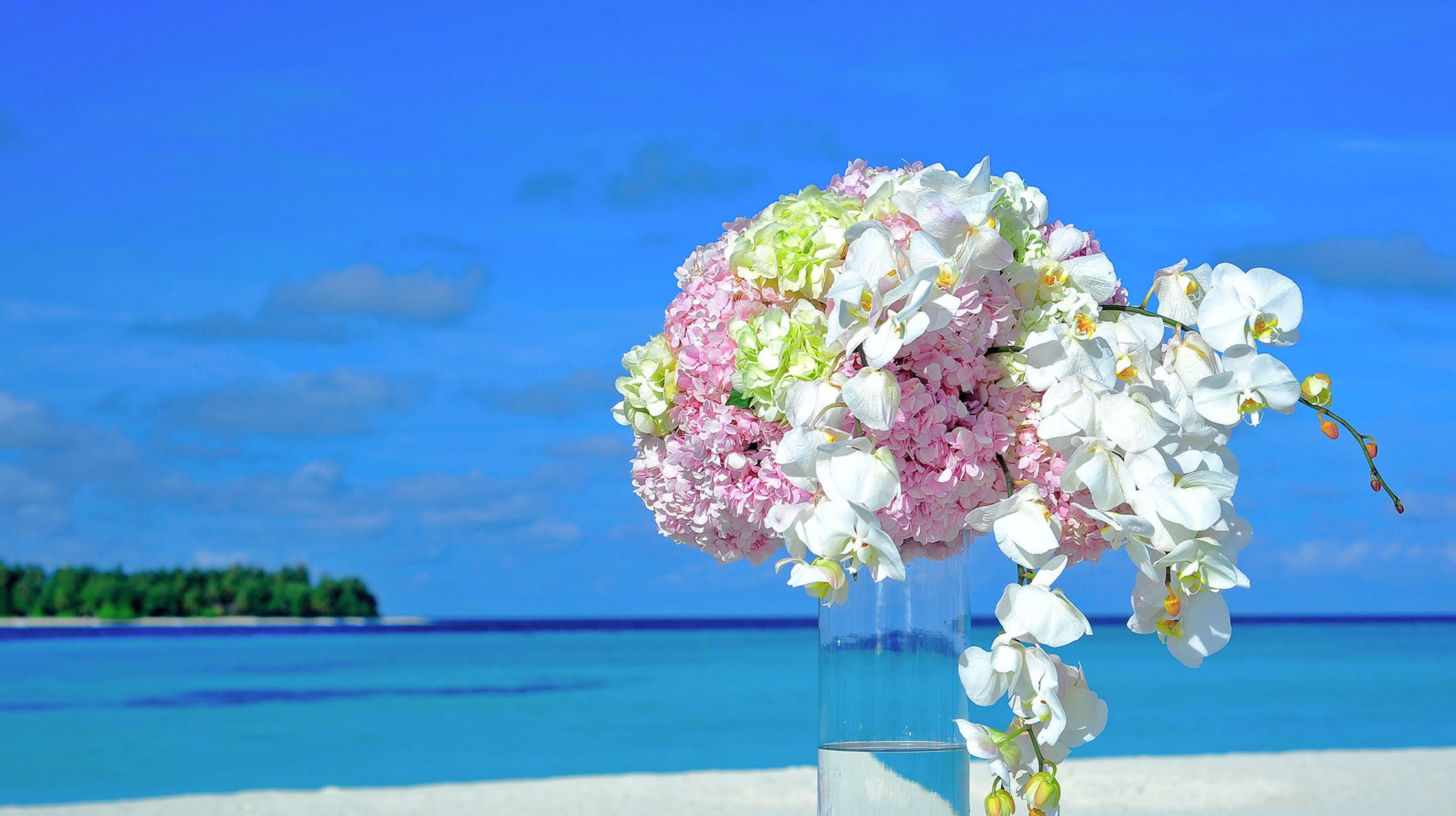  富贵|富贵之人，往往具备这8大特征，看看你占了几个？