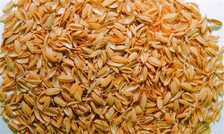 辅料|关于酿酒辅料,你知道多少?