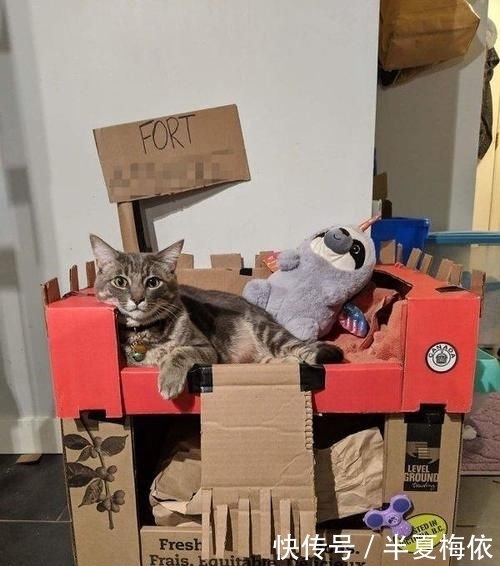 豪华|有才!外国网友用废纸箱,给喵星人打造豪华城堡