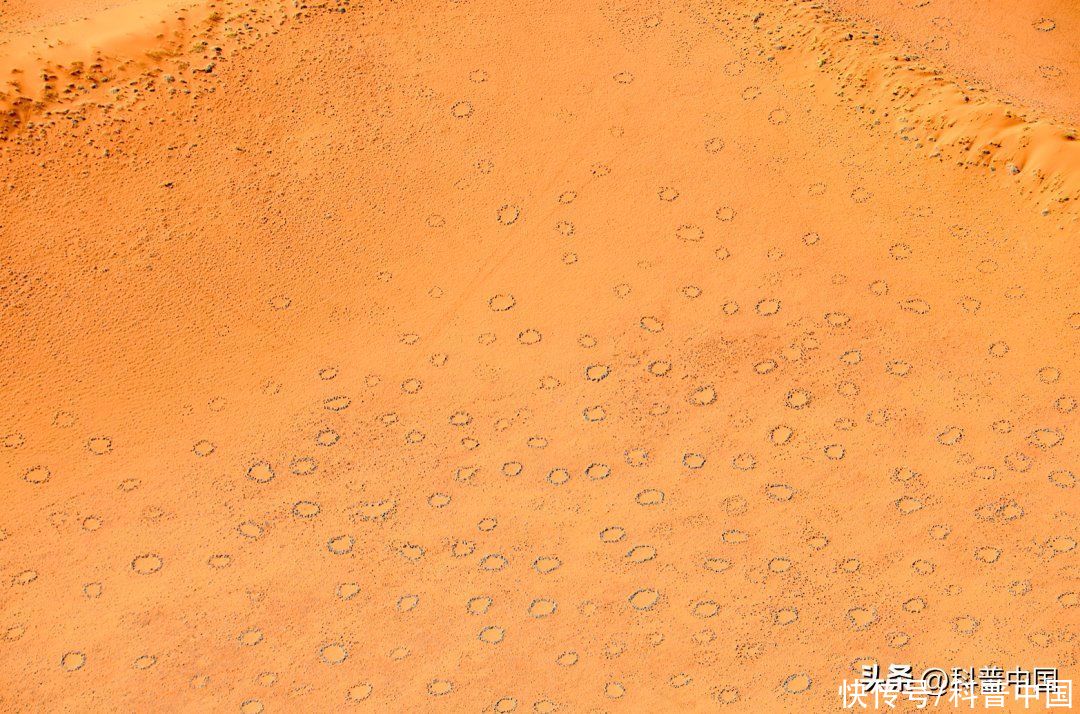 沙漠上的四个神秘现象(沙漠上的一个个“神秘怪圈”，真的是外星人干的吗？)
