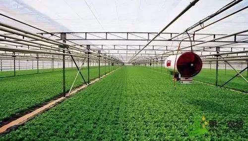  很快|十年农业九年赔钱，赚钱不易赔钱很快