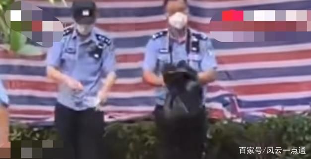  晚上|杭州案，那么大个尸体，一个晚上嫌犯是怎么处理掉的