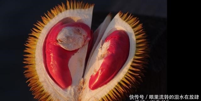 哪种|水果界的“李佳琦”,吃遍3000多种水果,哪种最好吃