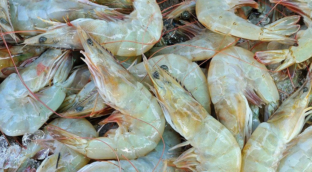 下锅|水煮虾时,应该冷水下锅还是开水下锅?用错了水,难怪虾肉不鲜嫩