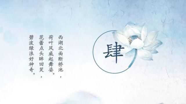  淡雅|淡雅荷花中国文化传统国学PPT模板