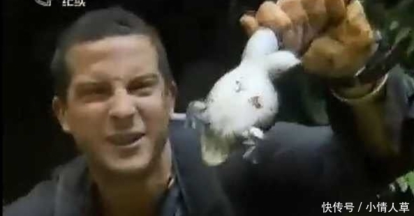 男人|食物链顶端的男人, 《荒野求生》为啥没了? 因为“贝爷”不行被解雇了