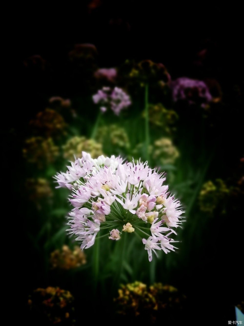  博物馆|游览中国园林博物馆