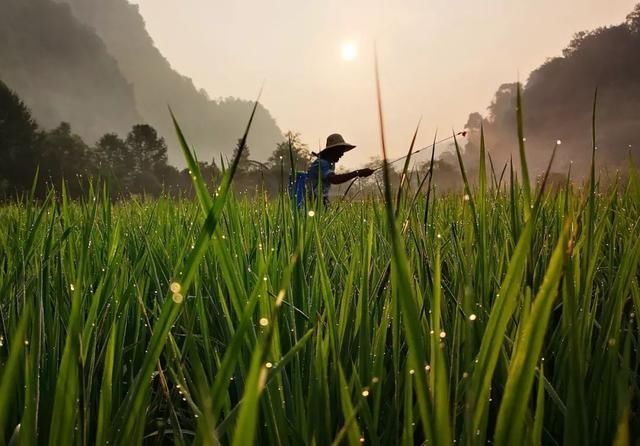 大暑|16:37 大暑节气至
