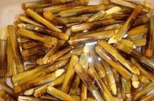 今日|今日开海!这84种海鲜,你都认识吗?你真的会吃海鲜吗?