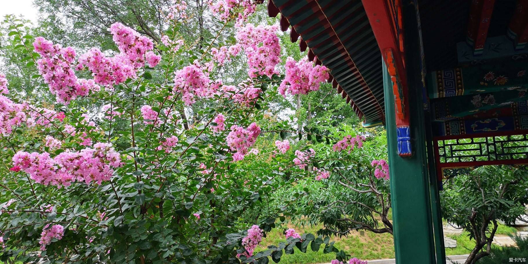  博物馆|游览中国园林博物馆