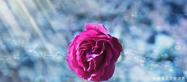 排行榜|十二星座女颜值排行榜,双鱼很可爱,第一名当之无愧