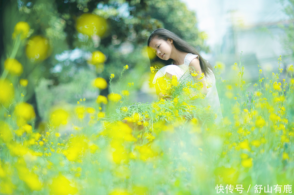  万事|戾气暴躁，害人不浅：做人不“静”，万事皆“失”，唯静有千益