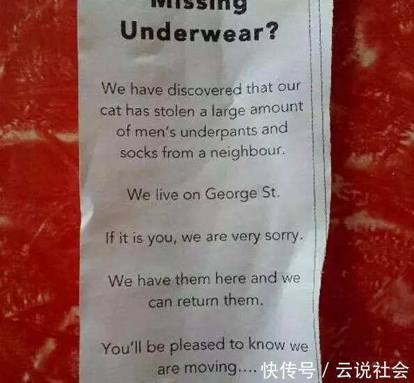 萌翻|100双袜子神秘失踪，找到“小偷”后，网友们都被它萌翻了！