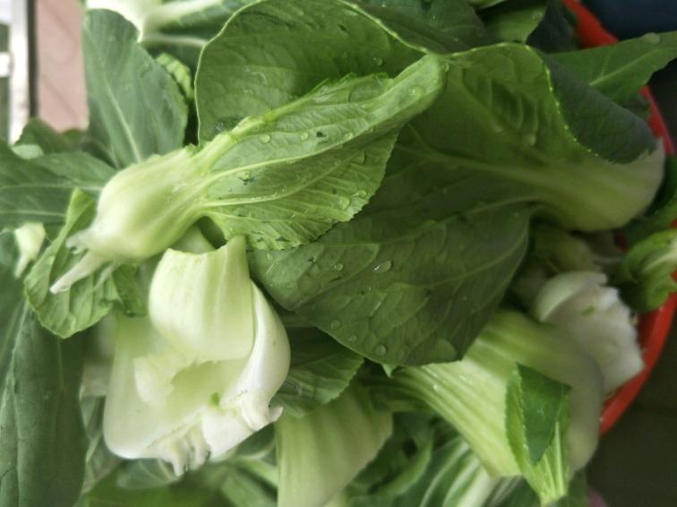 翠绿|炒青菜,不能直接下锅炒!大厨教你3个技巧,脆嫩翠绿不变黑,香