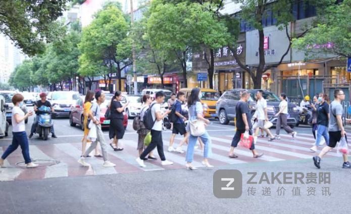 志愿者|礼让斑马线 从你我做起