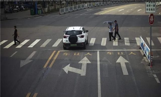 驾驶机动车违反道路|泰顺这些车主被曝光！
