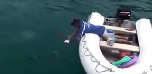  水中|水中扔面包片引来大鱼，手拿一片面包水中摇晃，空手抓到奇怪大鱼