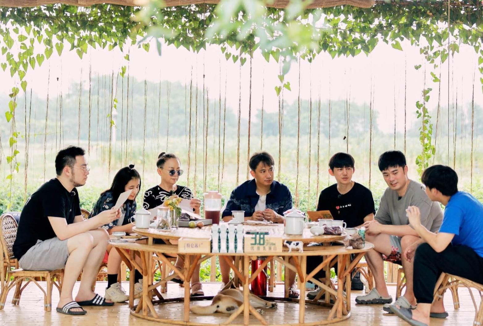  陈赫|《向往的生活》第四季收官，宋丹丹母子和陈赫返场！