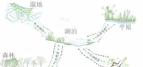  动物|浅谈生态走廊对动物的影响，是生存之所，亦是生命通道