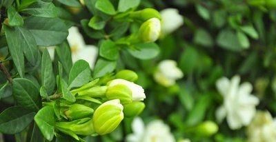  营养|对身体很好的4种食物，要坚持吃一些，补充营养，滋润身体