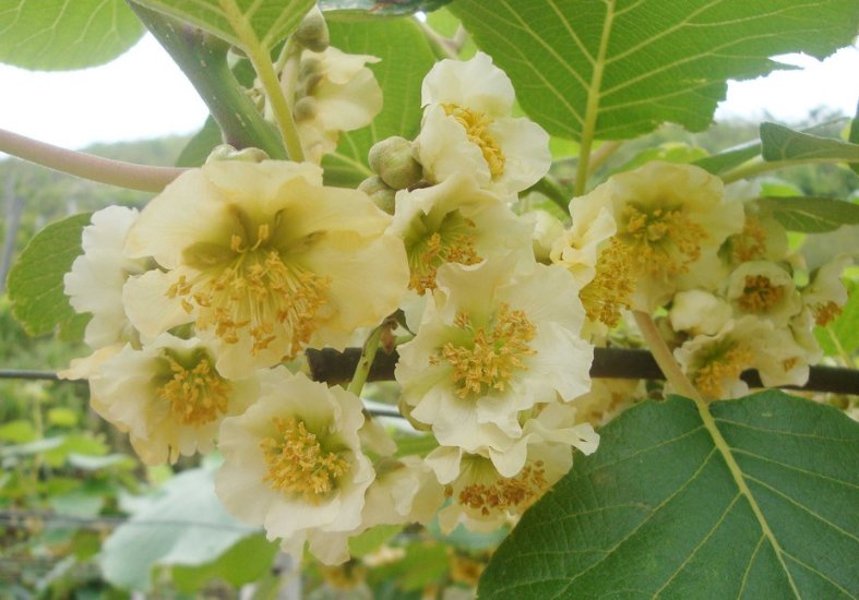  孩子|最有“儿女福”的三个生肖女，孩子个个有出息还孝顺，超乎想象