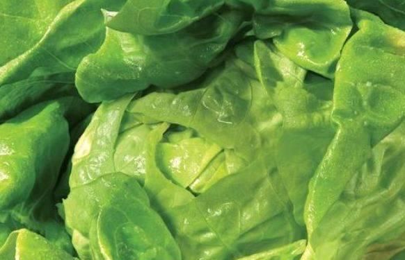  菜含有丰富|包菜别再干炒了，教你一个新吃法，上桌分分钟抢光，学到就是赚到