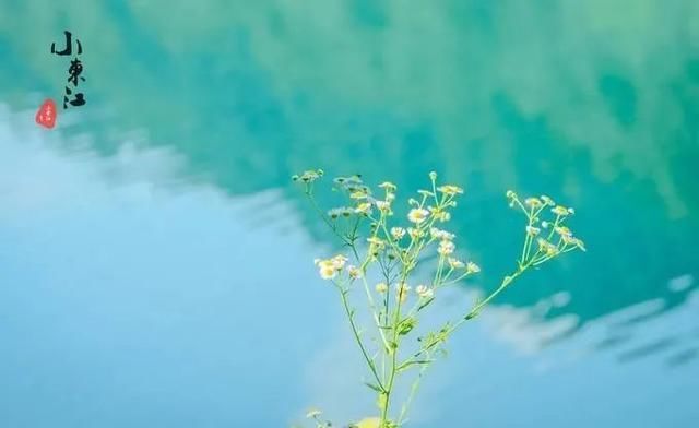  高椅岭|位于湖南的这座充满惊喜的宝藏之地，带你游遍久负盛名的网红景点