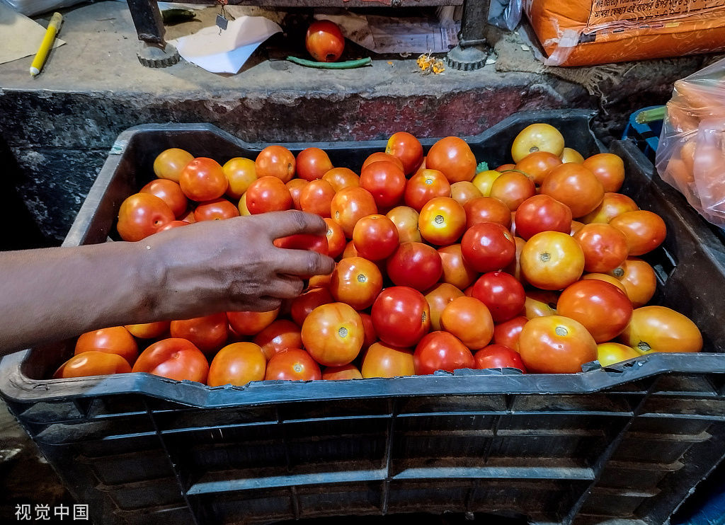 【环时深度】从洋葱到西红柿，印度“农业危机”为什么不断？