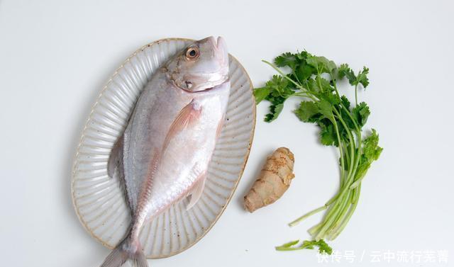 不破|分享煎鱼小妙招,跟着我这样做,煎好的鱼皮不破,鱼肉鲜香味美