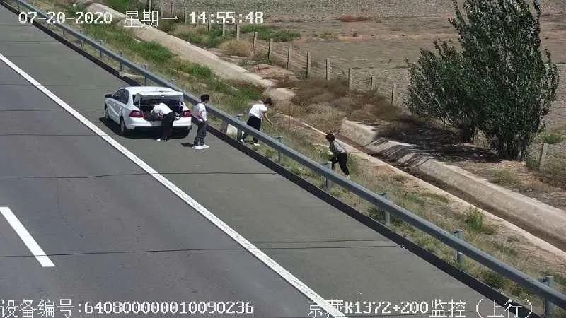  砂瓜|无语 || 高速公路上，这几人见路边硒砂瓜无人看管，竟下车顺手偷瓜！