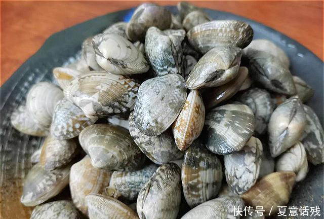 清洗|花蛤好吃难清洗？清洗时不能只加盐，多加这3样，花蛤疯狂吐沙