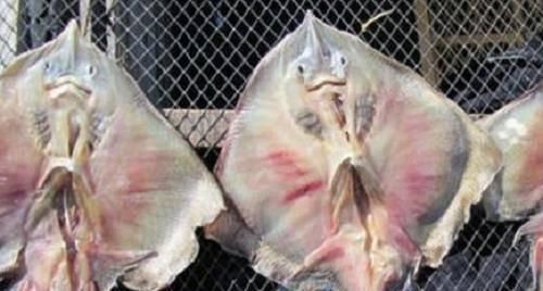 世界|世界最臭的5大美食,吃过2种你就是牛人,全吃过的真了不起